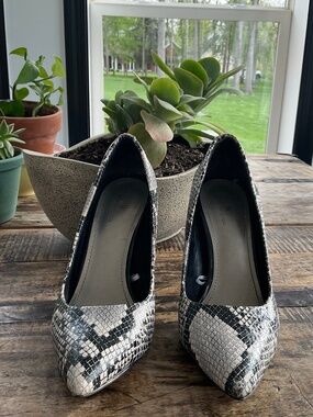 Worthington black reptile design,8 1/2.